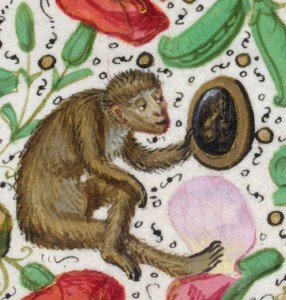 Detail from a full border of a monkey looking at itself in a mirror, from the Isabella Breviary, Southern Netherlands (Bruges), late 1480s and before 1497, British Library, Additional 18851, f. 270. See more at: http://britishlibrary.typepad.co.uk/digitisedmanuscripts/2012/04/monkeys-in-the-margins.html#sthash.4h3ieMBc.dpuf.http://britishlibrary.typepad.co.uk